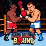 Big Shot Boxing